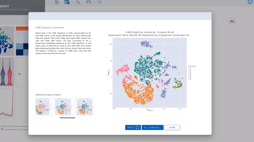 single cell-1