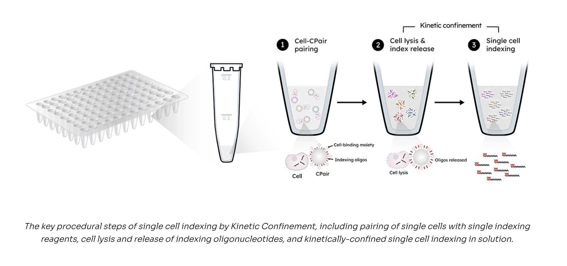 SimpleCell Workflow